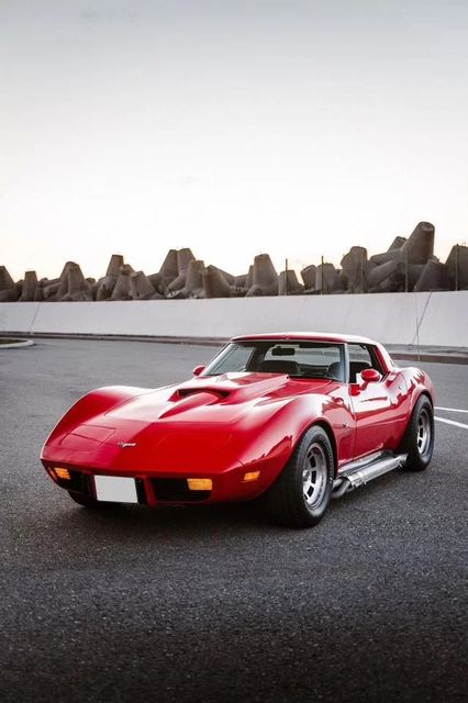 Chevrolet Corvette, 1979 — Москва